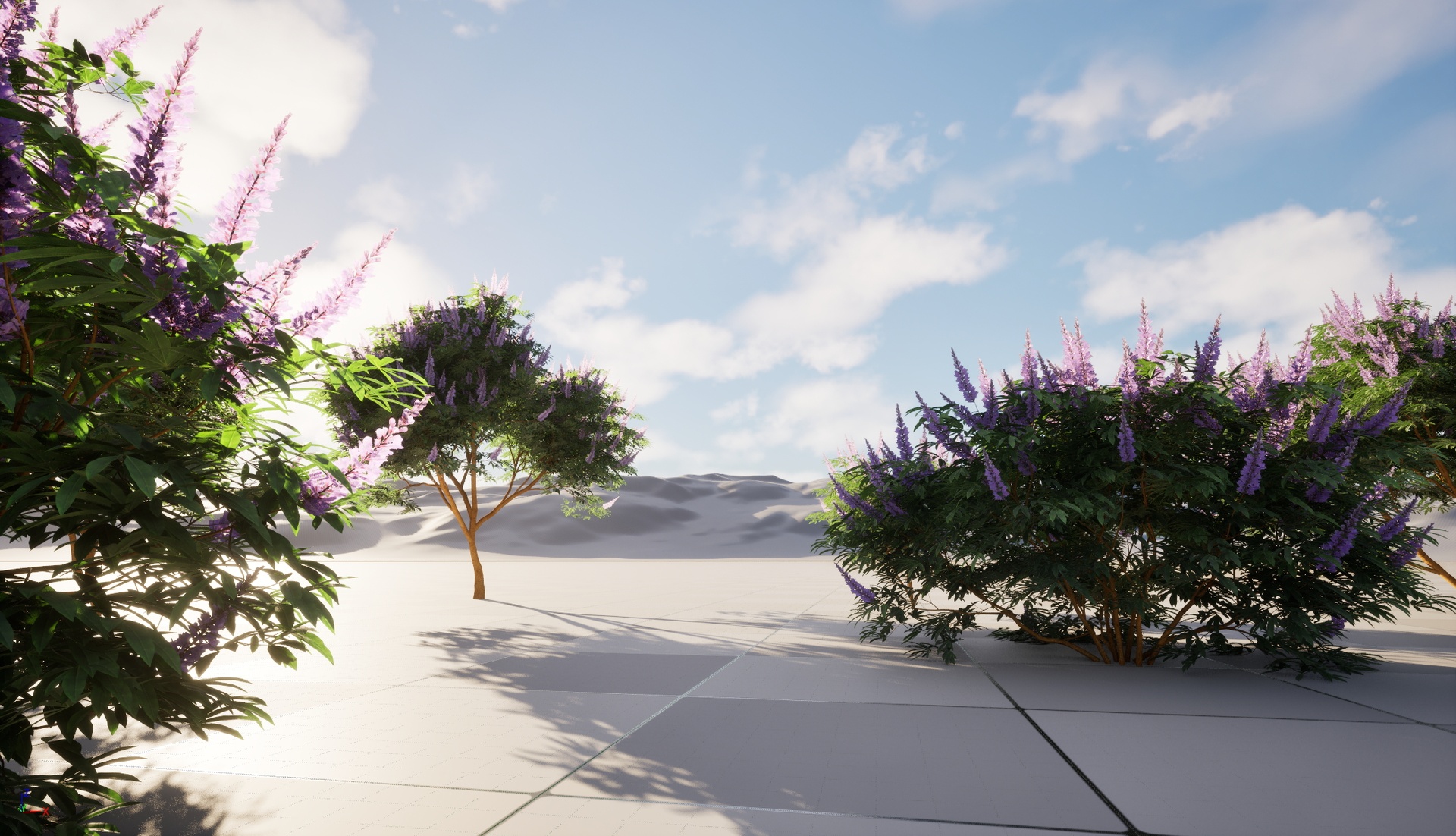 Media 1 for listing UE5 Wind Tree - Vitex Agnus - Chaste Tree (Highpoly+Low Poly)