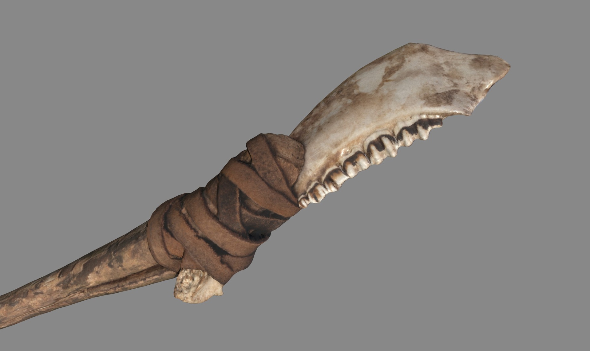 Media 1 for listing Prehistoric Axe Jaw