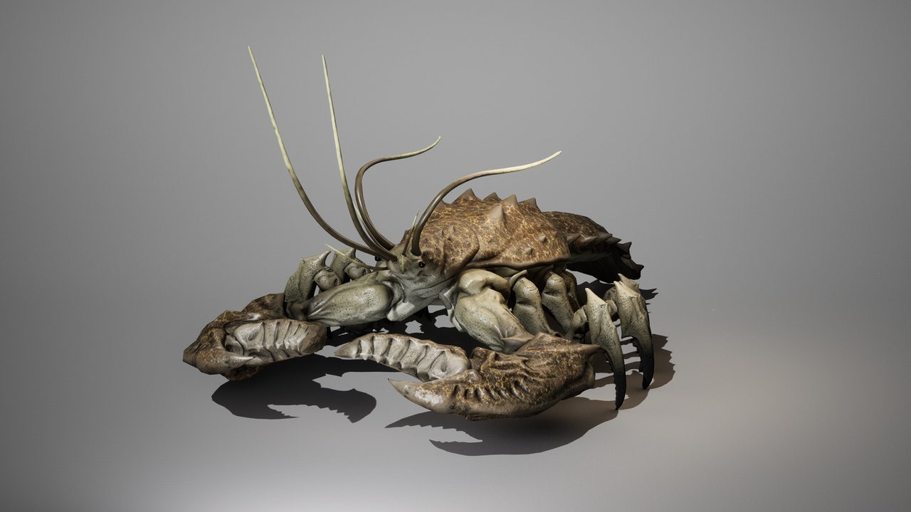 出品Giant Crayfishのメディア1