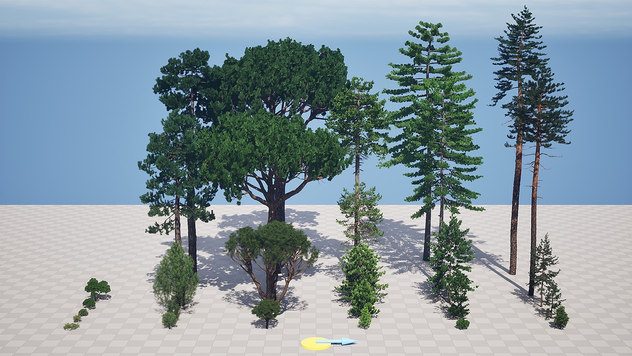 Media 1 for listing AB3D Plants - Volume 10 Pines