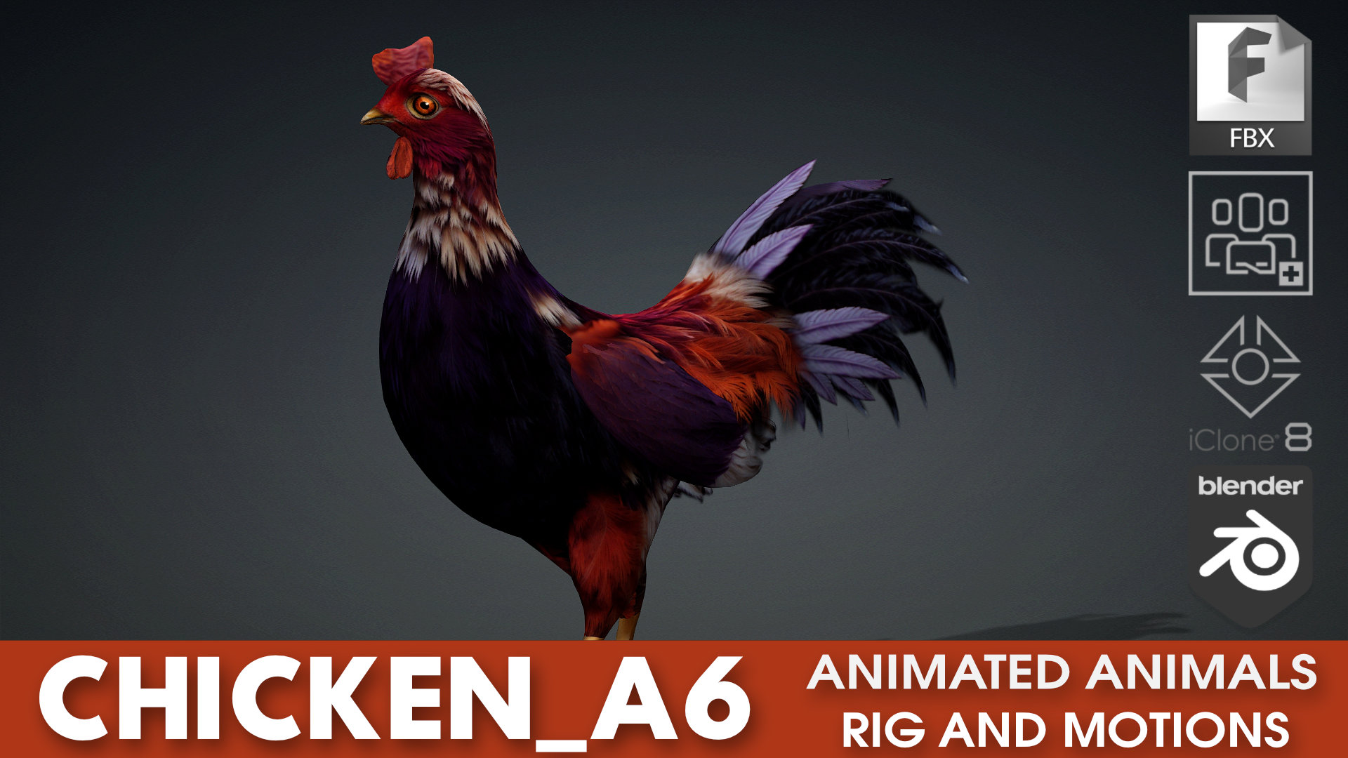 Chicken_A6 | Fab