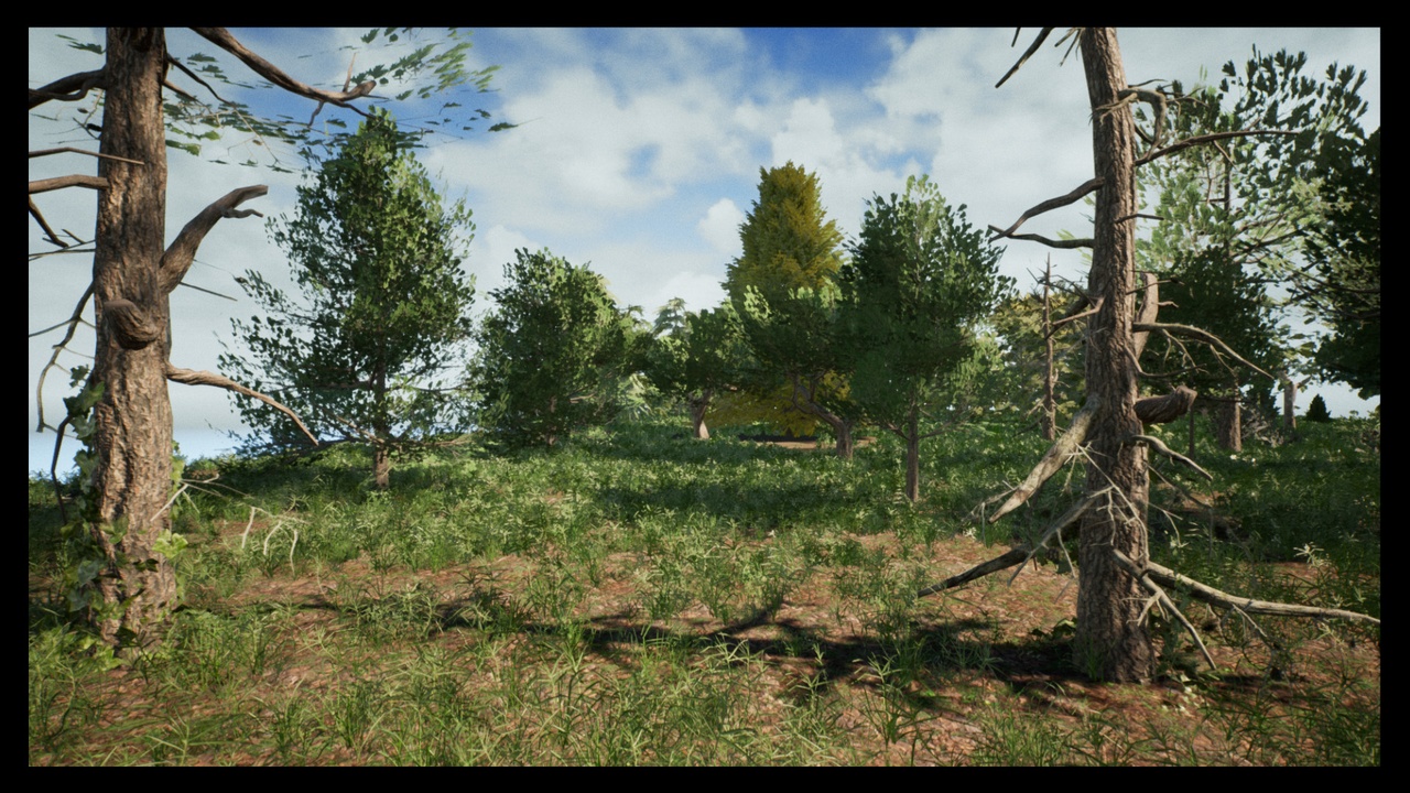 Media 1 for listing Trees Open Worlds Collection
