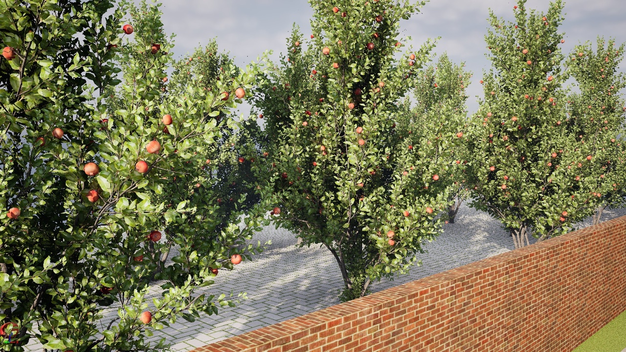 Media 1 for listing HighPoly Fruit Tree (Pomegranate)