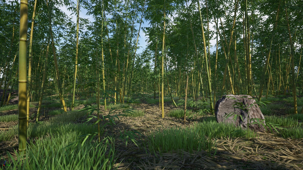 商品 Bamboo Plants Pack 的媒体 1