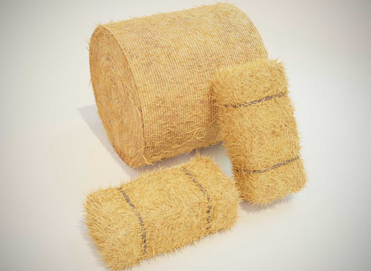 Hay Bale Square and Round 3D Model 제품 등록을 위한 미디어 1개