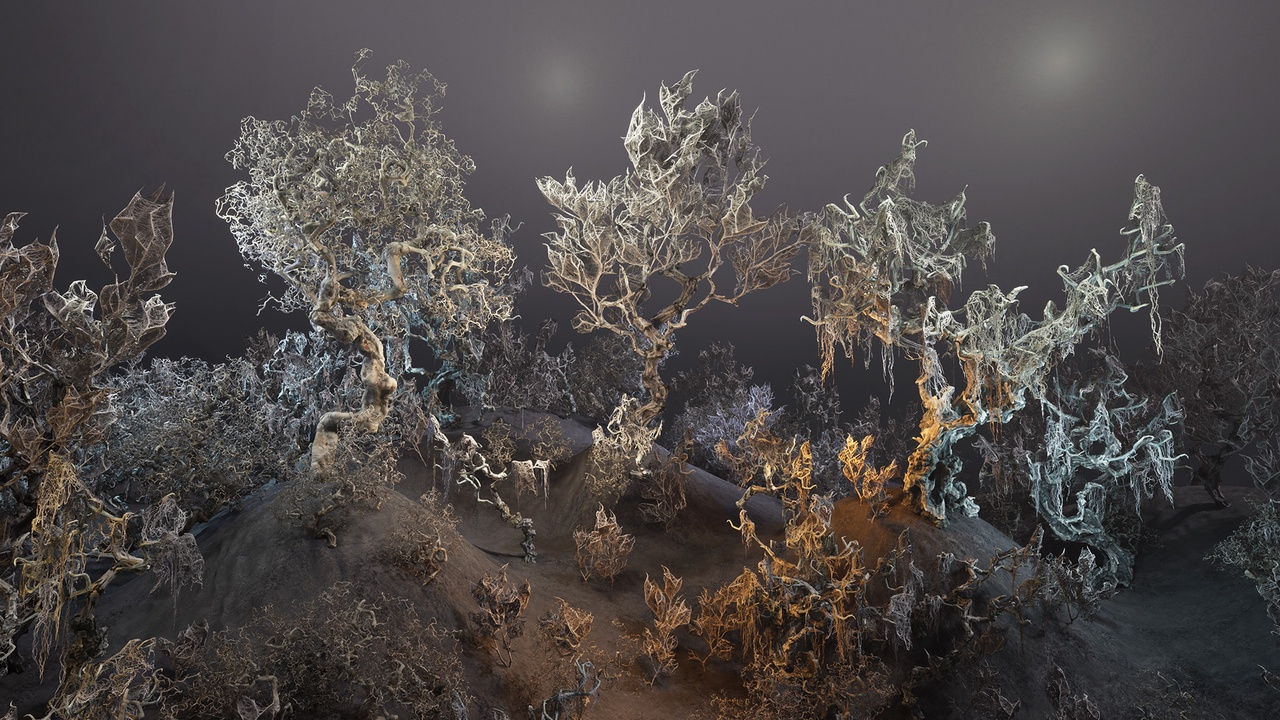 Media 1 for listing Decay trees