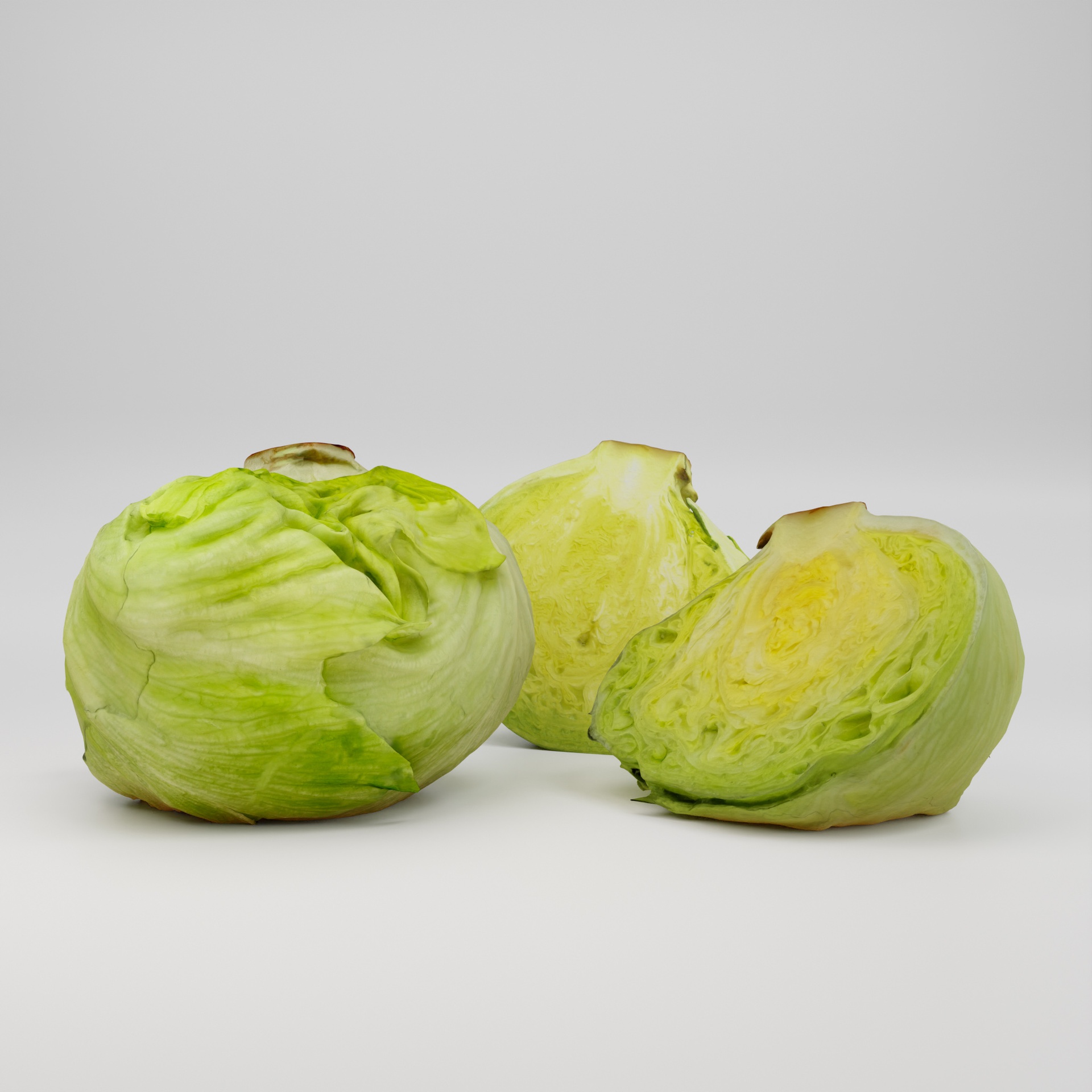 Media 1 for listing Iceberg Lettuce - 3D Scan