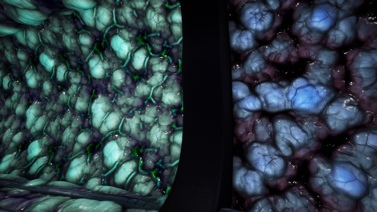 出品Alien Biomass Materialsのメディア1