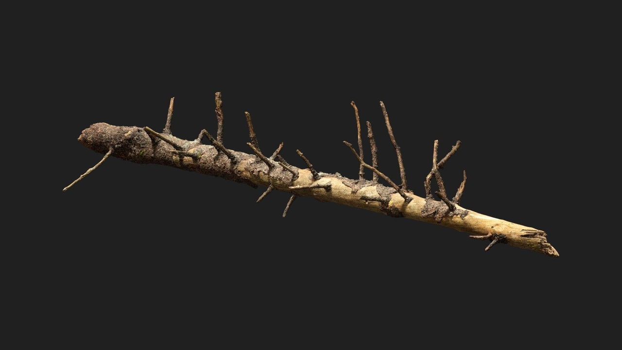 商品 Nordic Forest Tree Log Large 的媒体 1