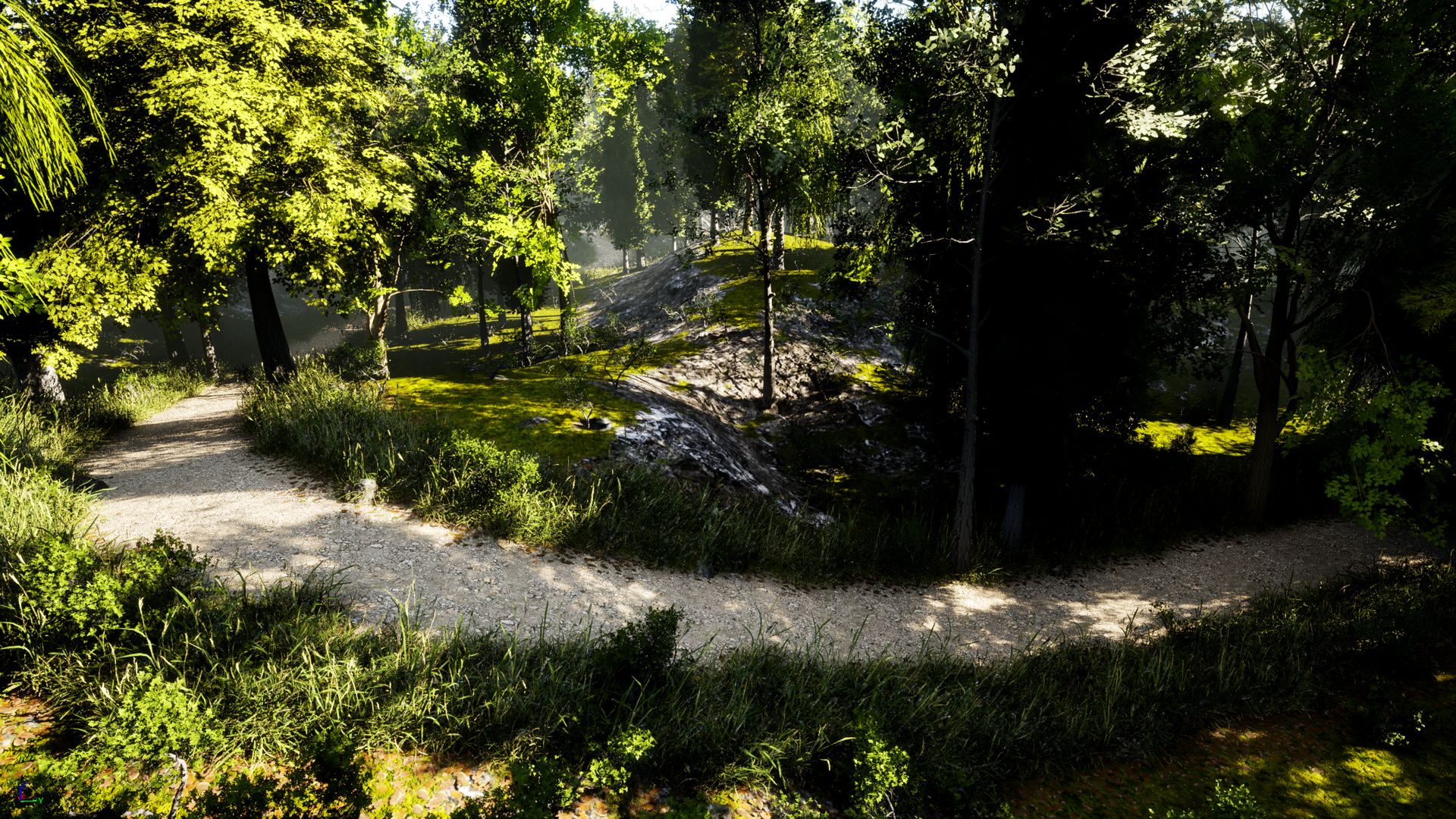Continous Rough Path Rough path in the forest | Fab