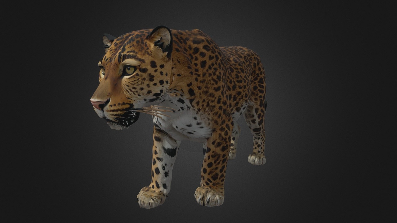 Media 1 for listing Jaguar Neutral Standing Pose