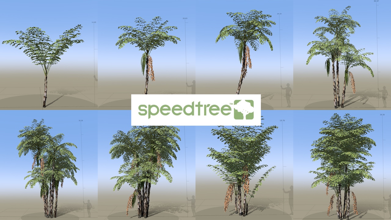 Media 1 for listing Caryota mitis - Clustering fishtail palm (Speed Tree)