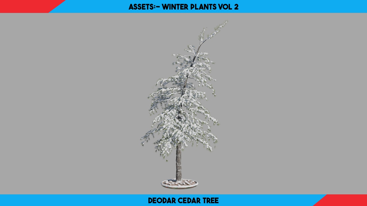 Media 1 for listing Winter Plants Vol.2