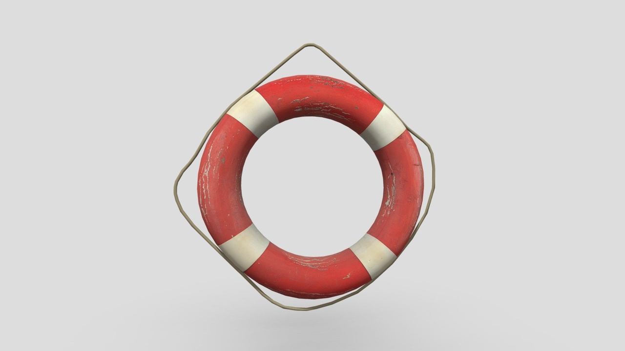 Media 1 for listing Lifebelt