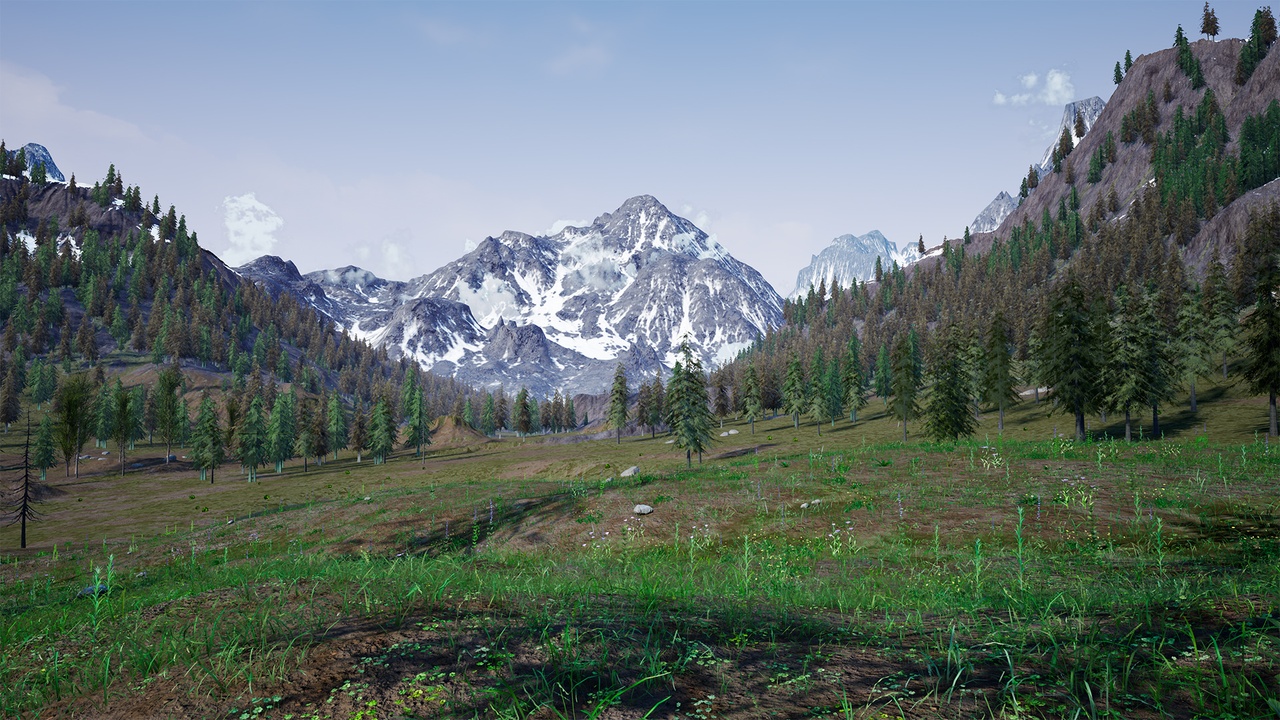 Media 1 for listing Grass Landscape
