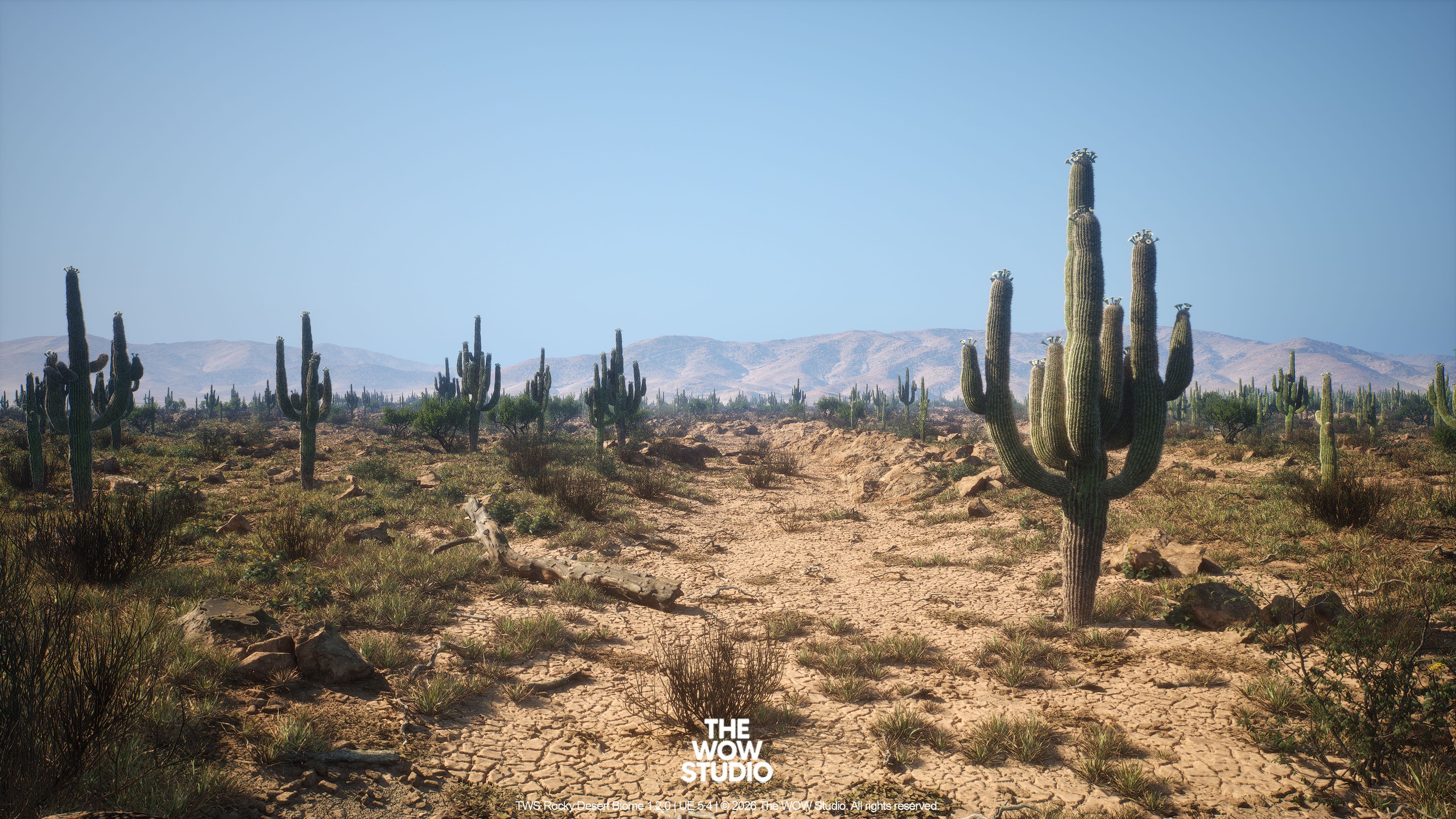 Media 1 for listing TWS - PCG Rocky Desert Biome