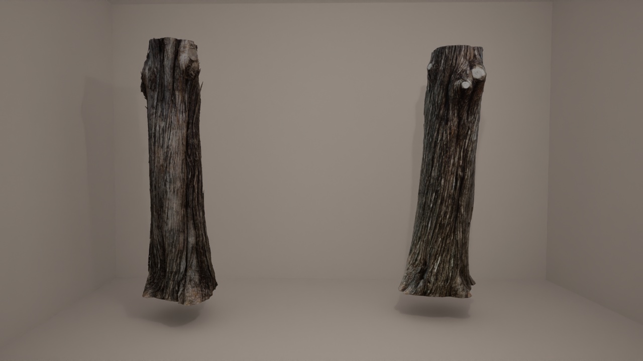 Media 1 for listing Eastern Red Cedar Photogrammetry Scan