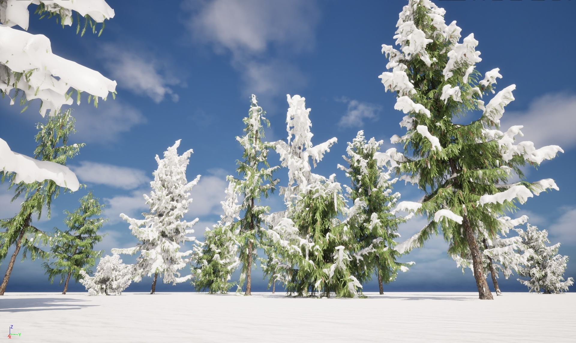 Media 1 for listing Winter Snow Plants – Picea breweriana – Brewer’s spruce High-Lowpoly
