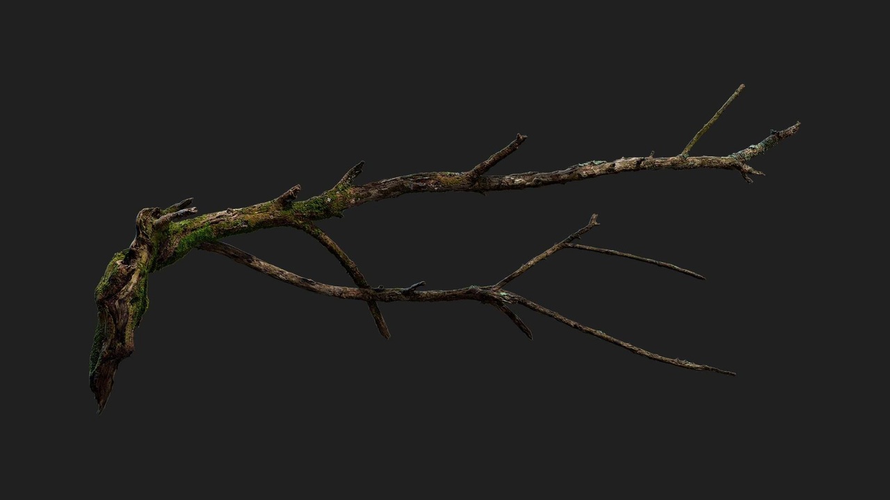 Media 1 for listing Wooden Branch