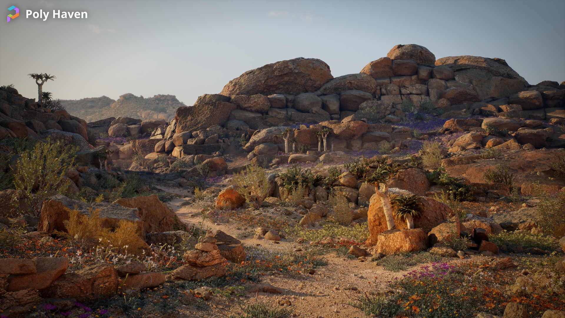 Media 1 for listing Namaqualand Environment and Asset Pack