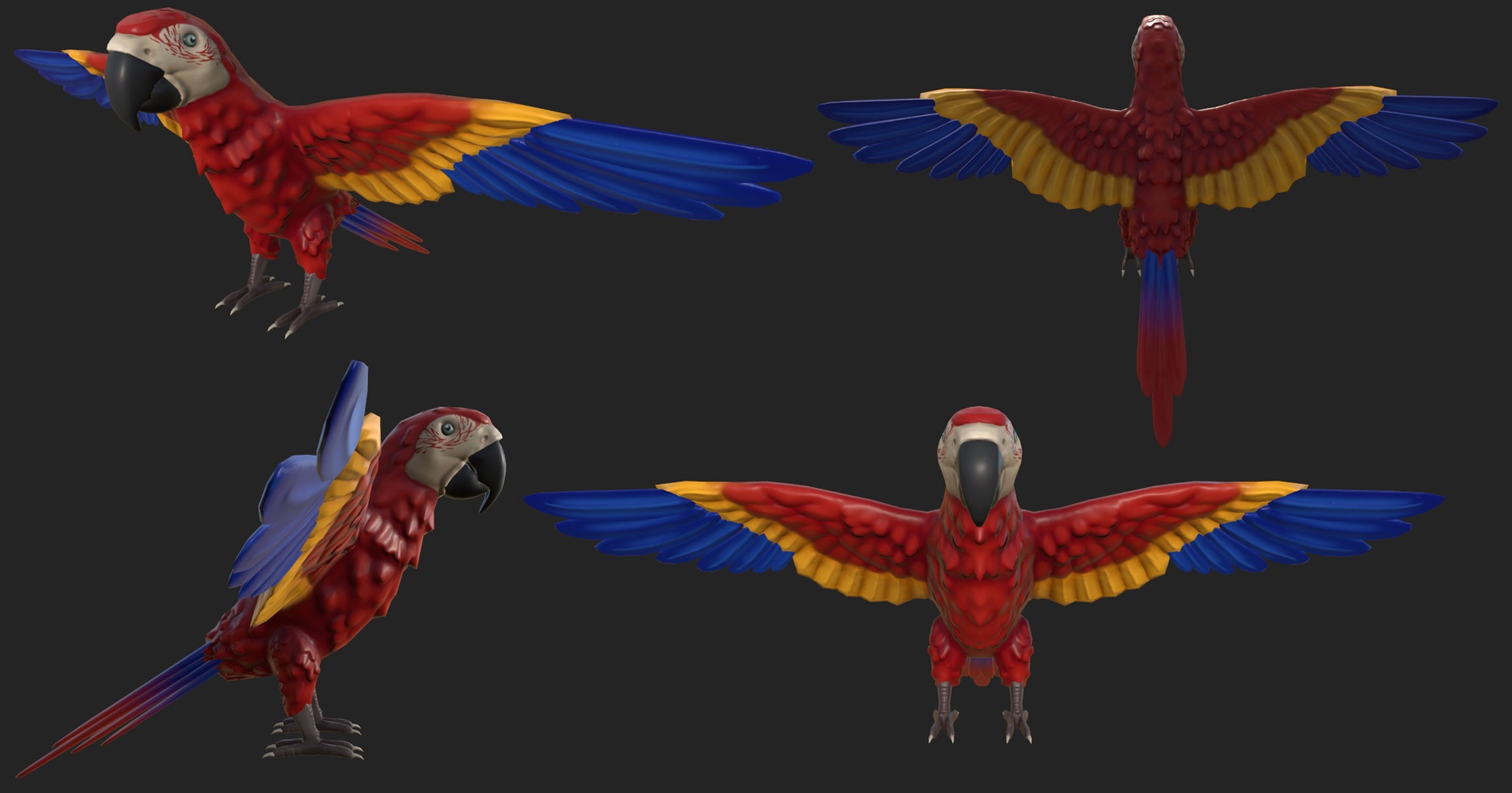 Media 1 for listing Semi realistic parrot 4 textures
