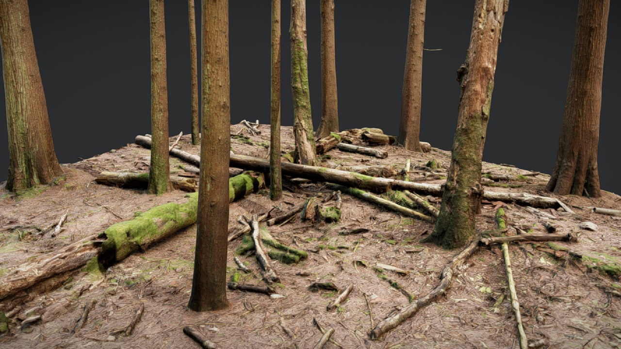 Media 1 for listing Forest Ground 1
