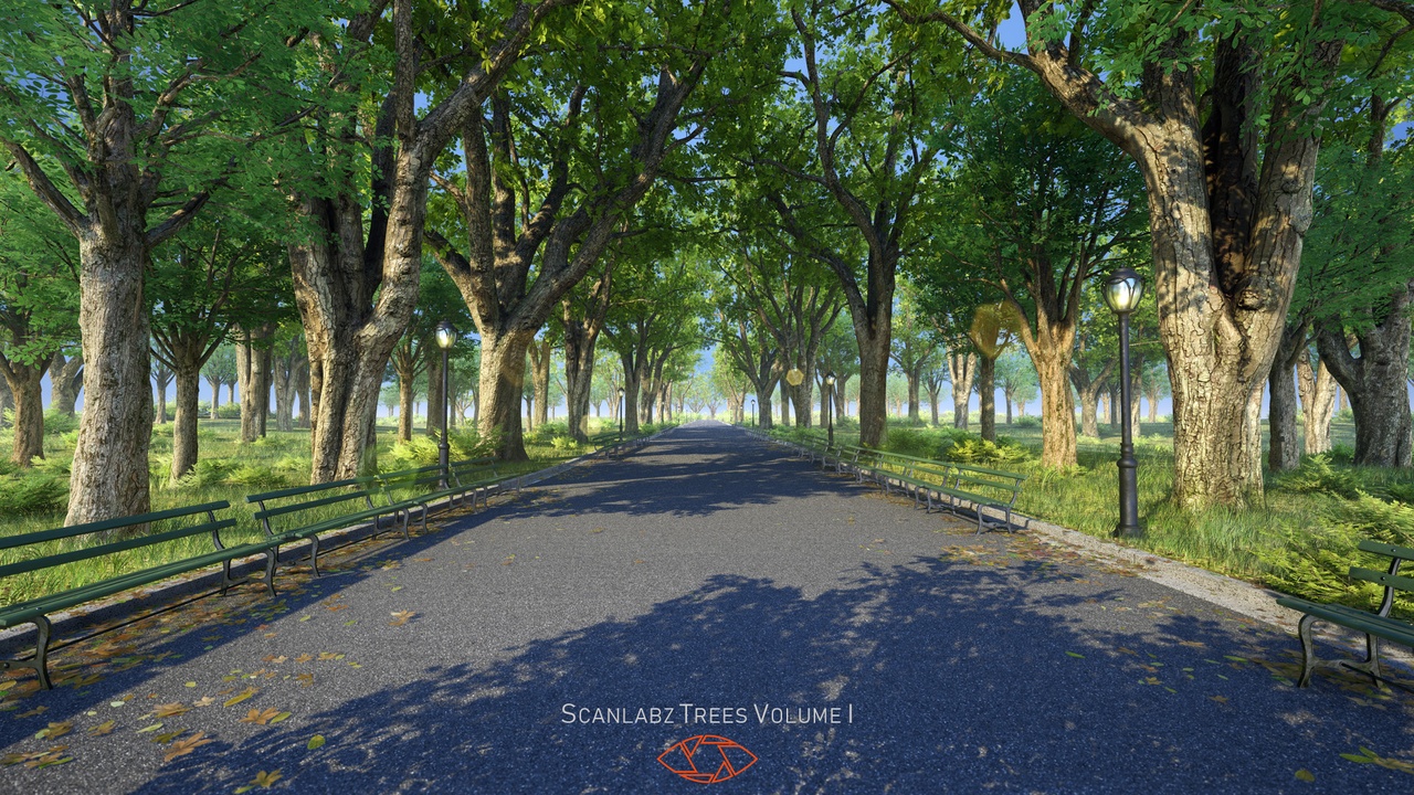 Media 1 for listing Scanlabz Trees _ Chestnut Tree & Holly Tree