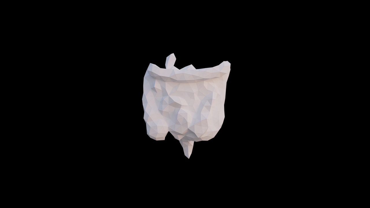 Media 1 for listing Origami human intestines made out of triangles. Unfolding growing animation.