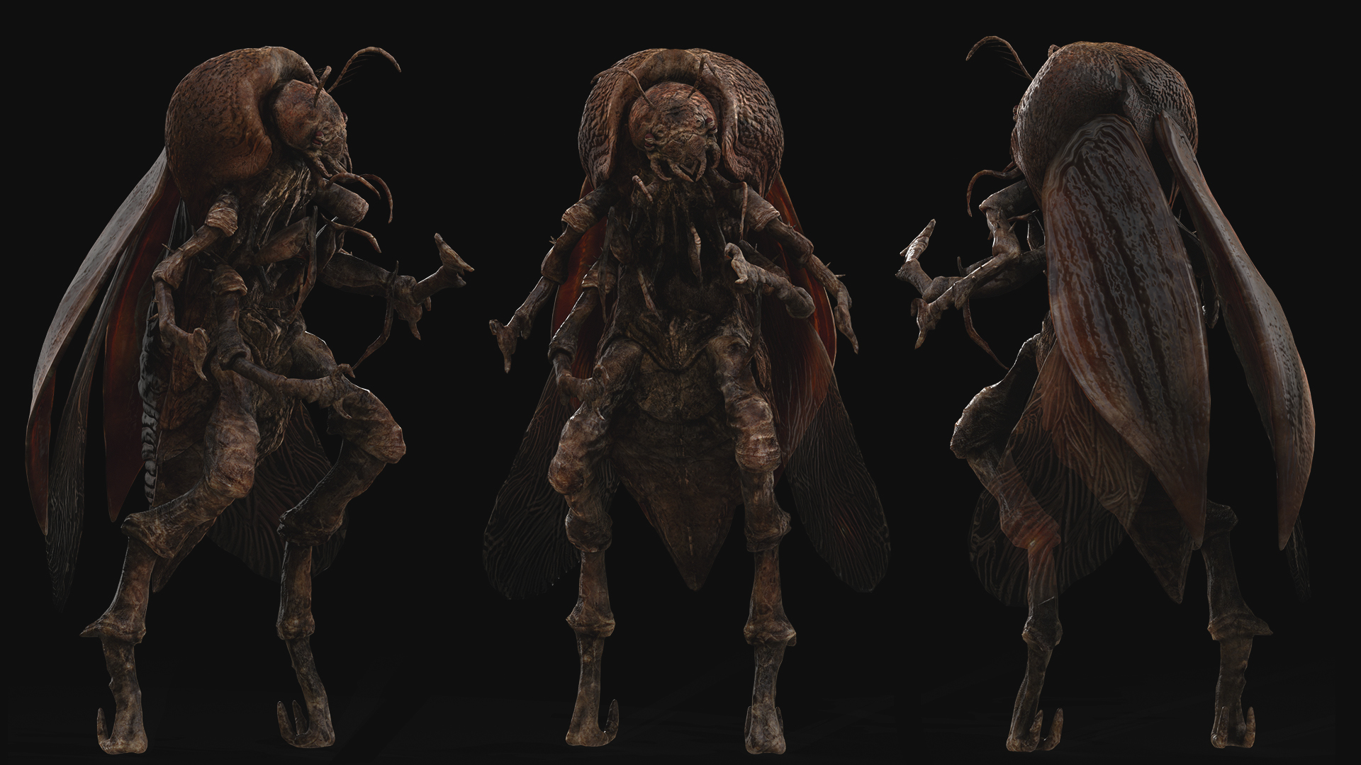 Witcher Insectoids Insectoid Creature | Fab