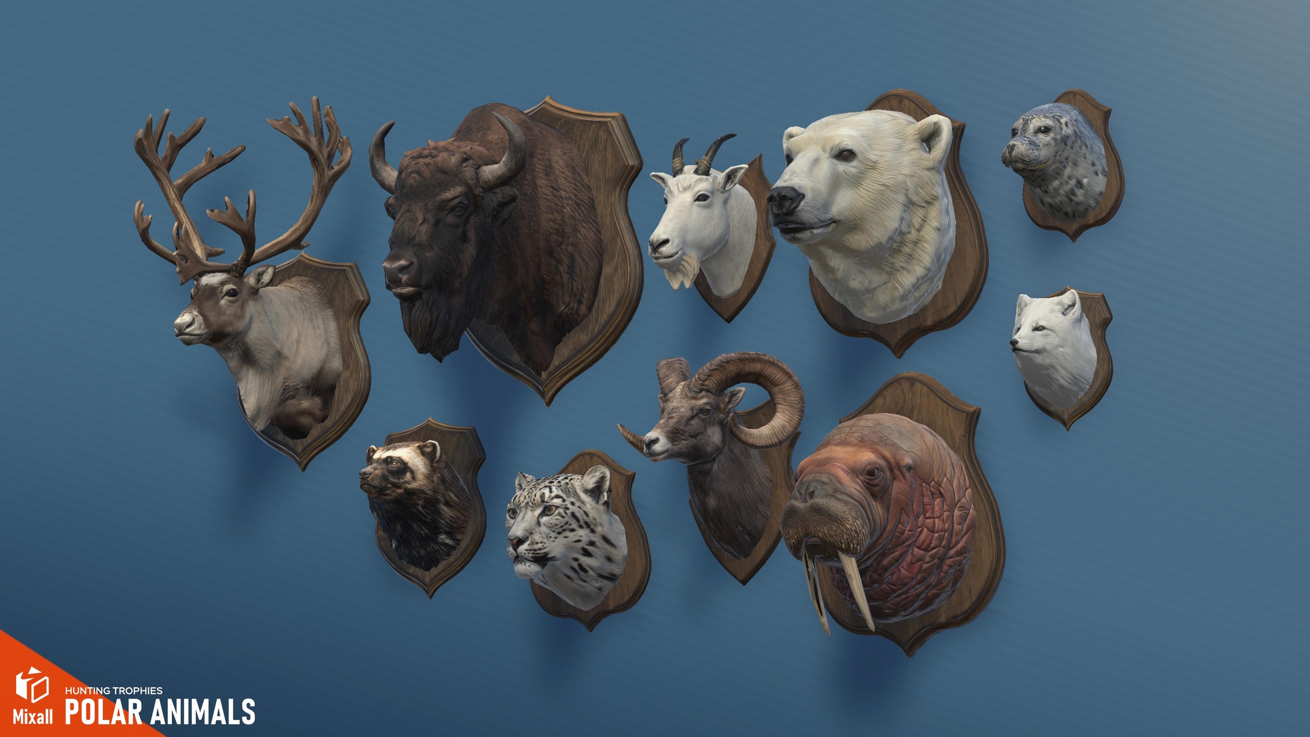 Media 1 for listing Polar animals – Hunting trophies