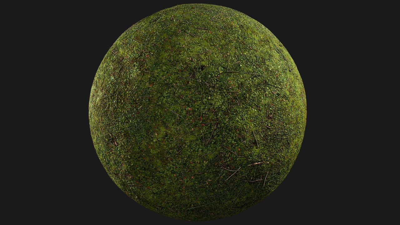 Media 1 for listing Grass (pBfH44)
