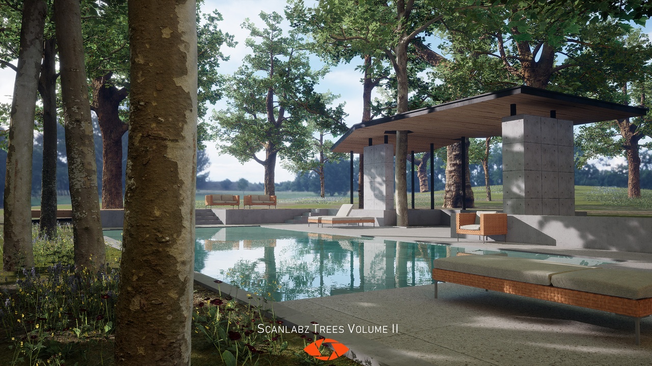 Media 1 for listing Scanlabz Trees _ Plane Tree