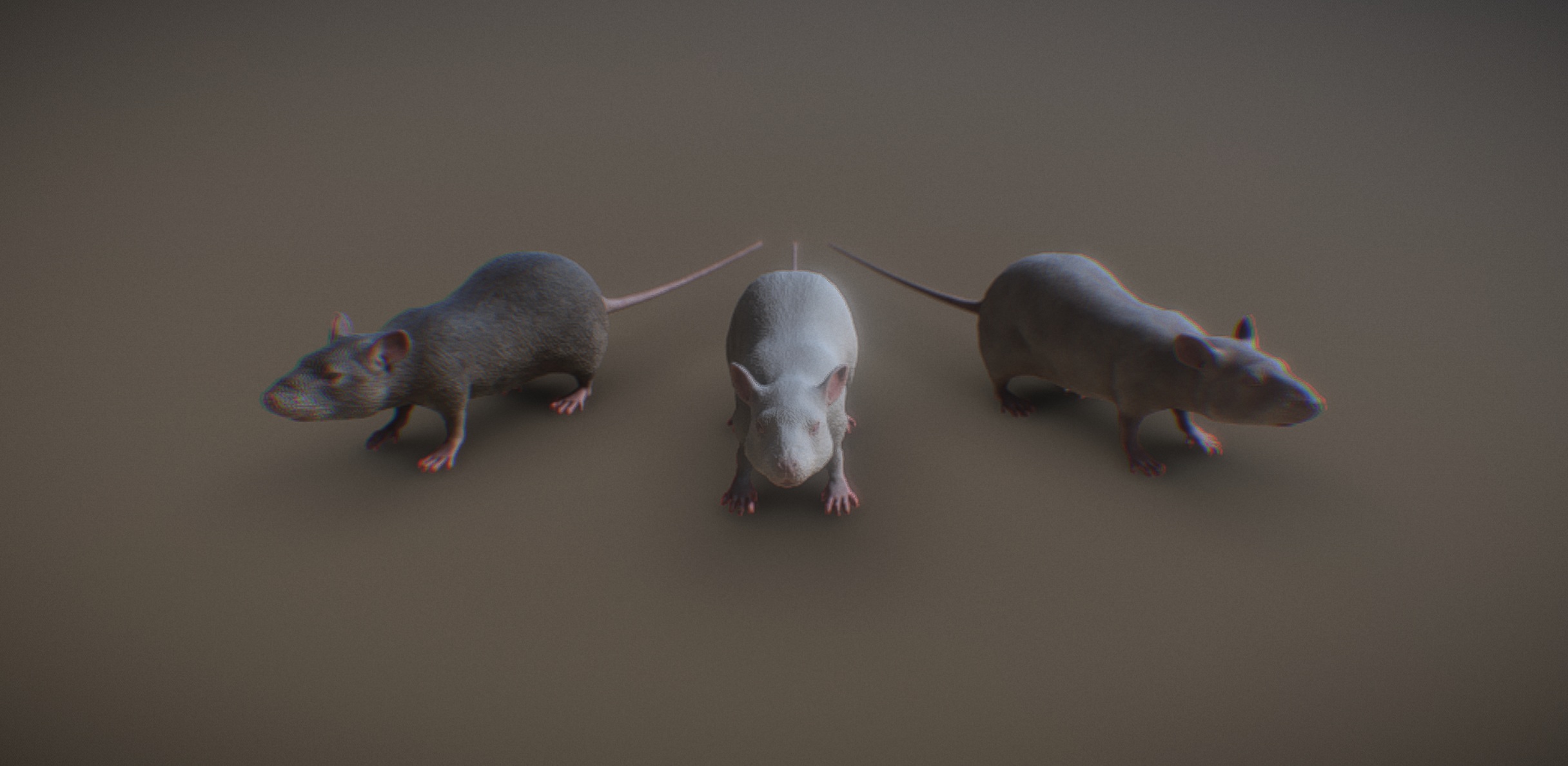 Rats | Fab