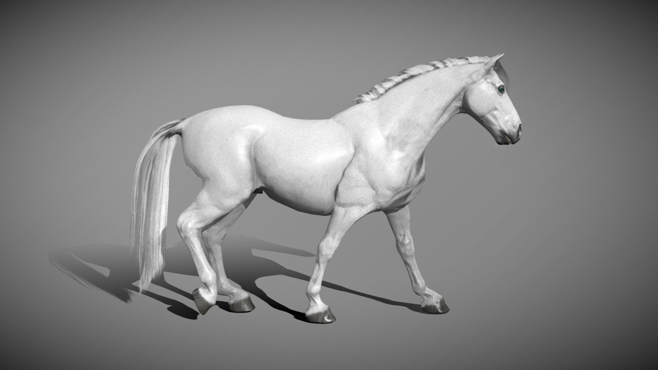 Media 1 for listing White horse 2.0