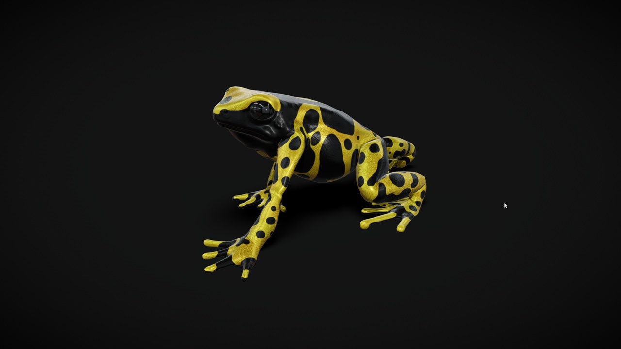 Media 1 for listing Frog 3D Model -Yellow Banded Poison Frog