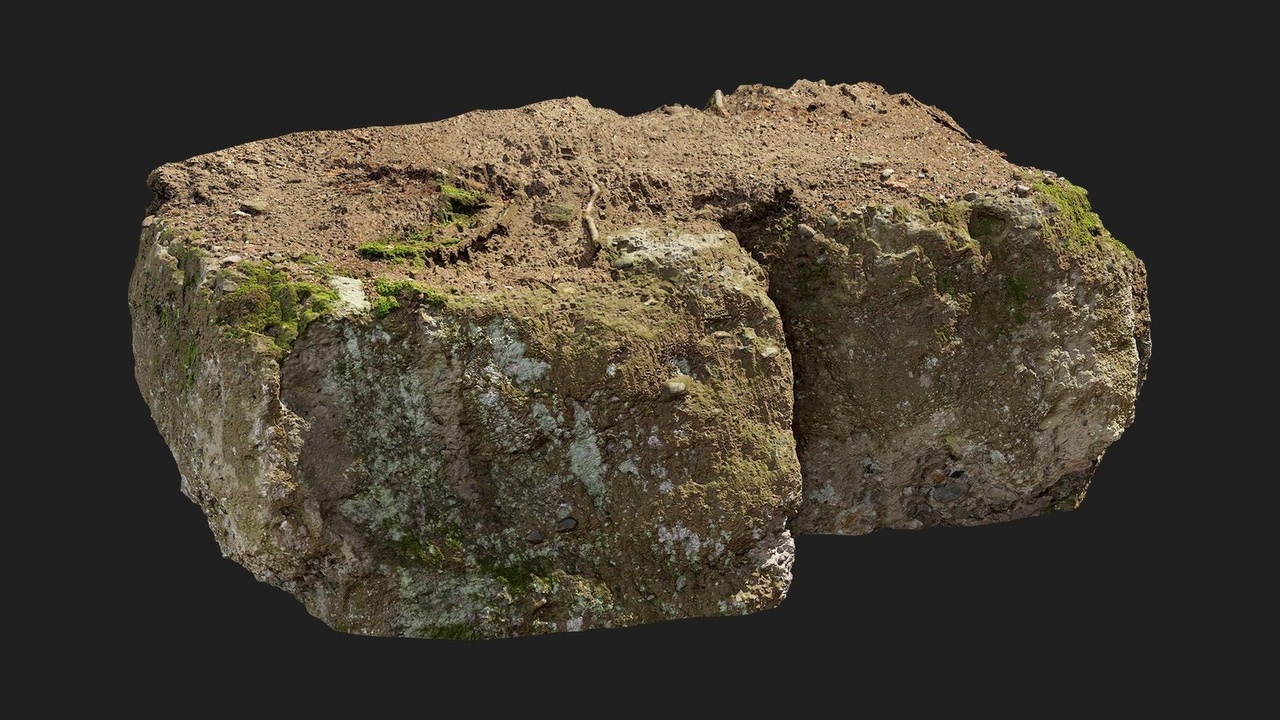 Media 1 for listing Forest European Broadleaf Ledge Rock S 04