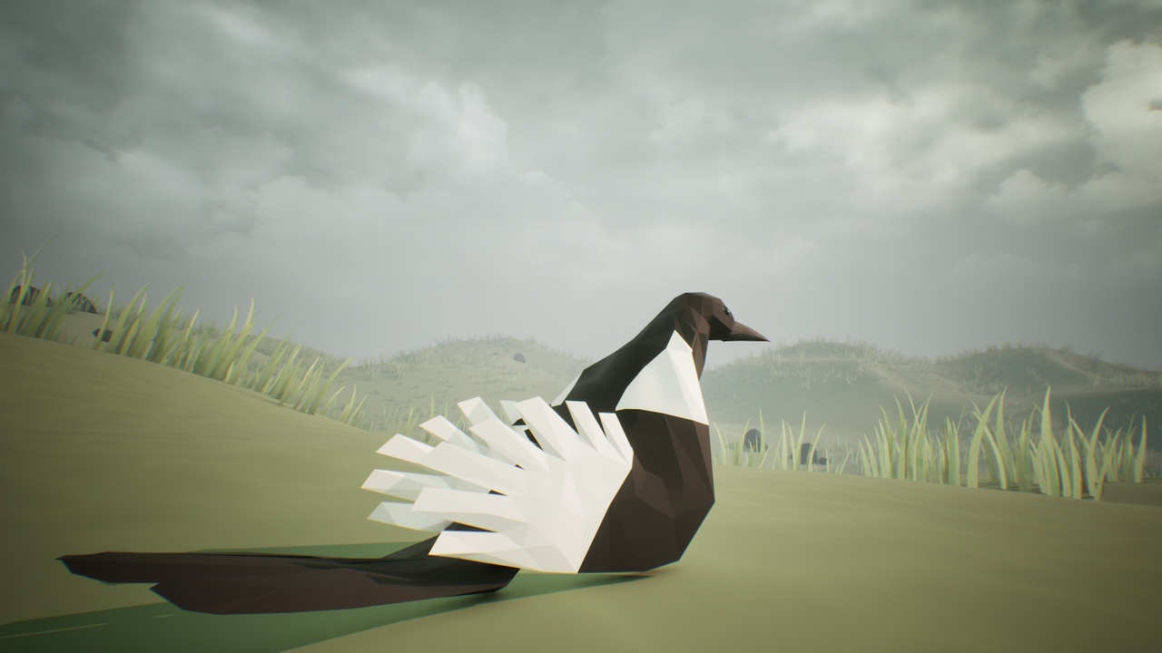 Media 1 for listing Low Poly Bird: Magpie
