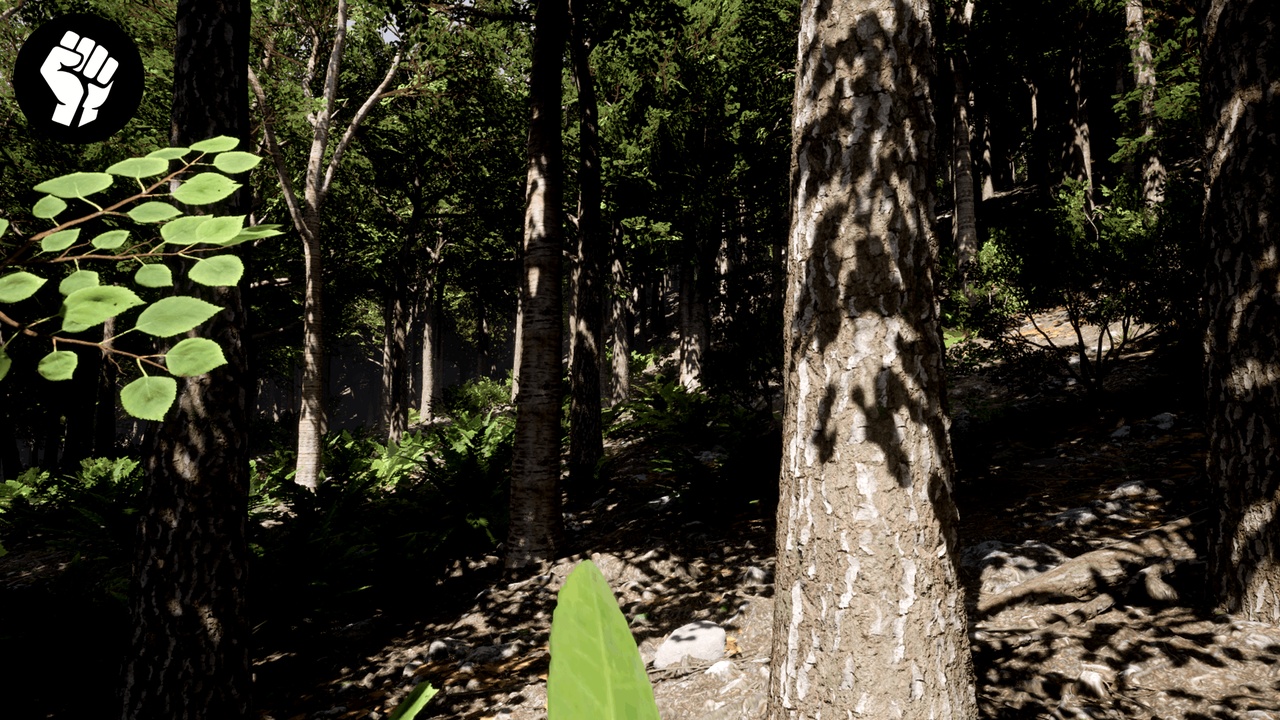 Media 1 for listing Trees: Birch and Oak Forest