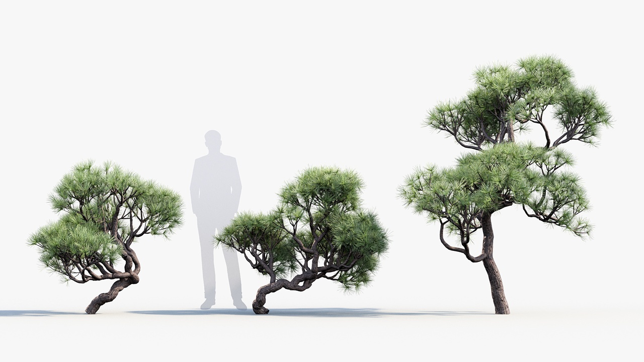 Media 1 for listing Japanese Plants 3D model v2
