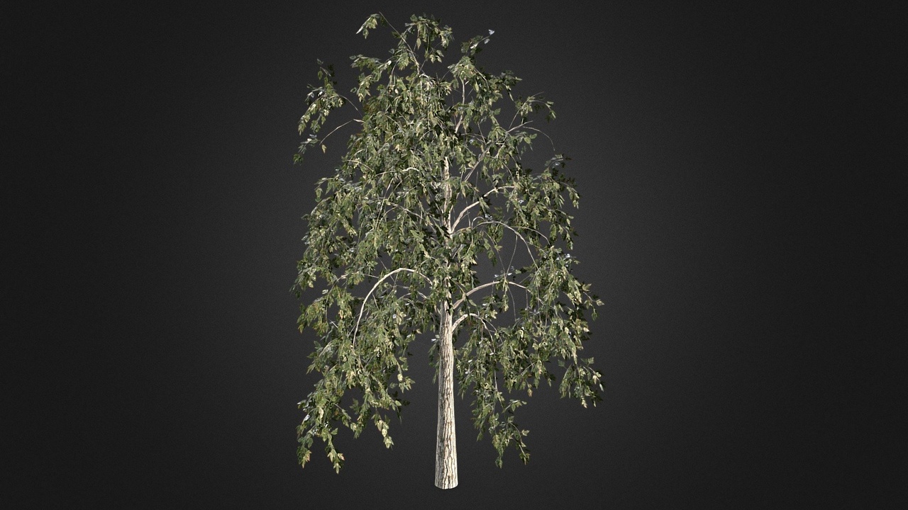 Media 1 for listing Tree_test