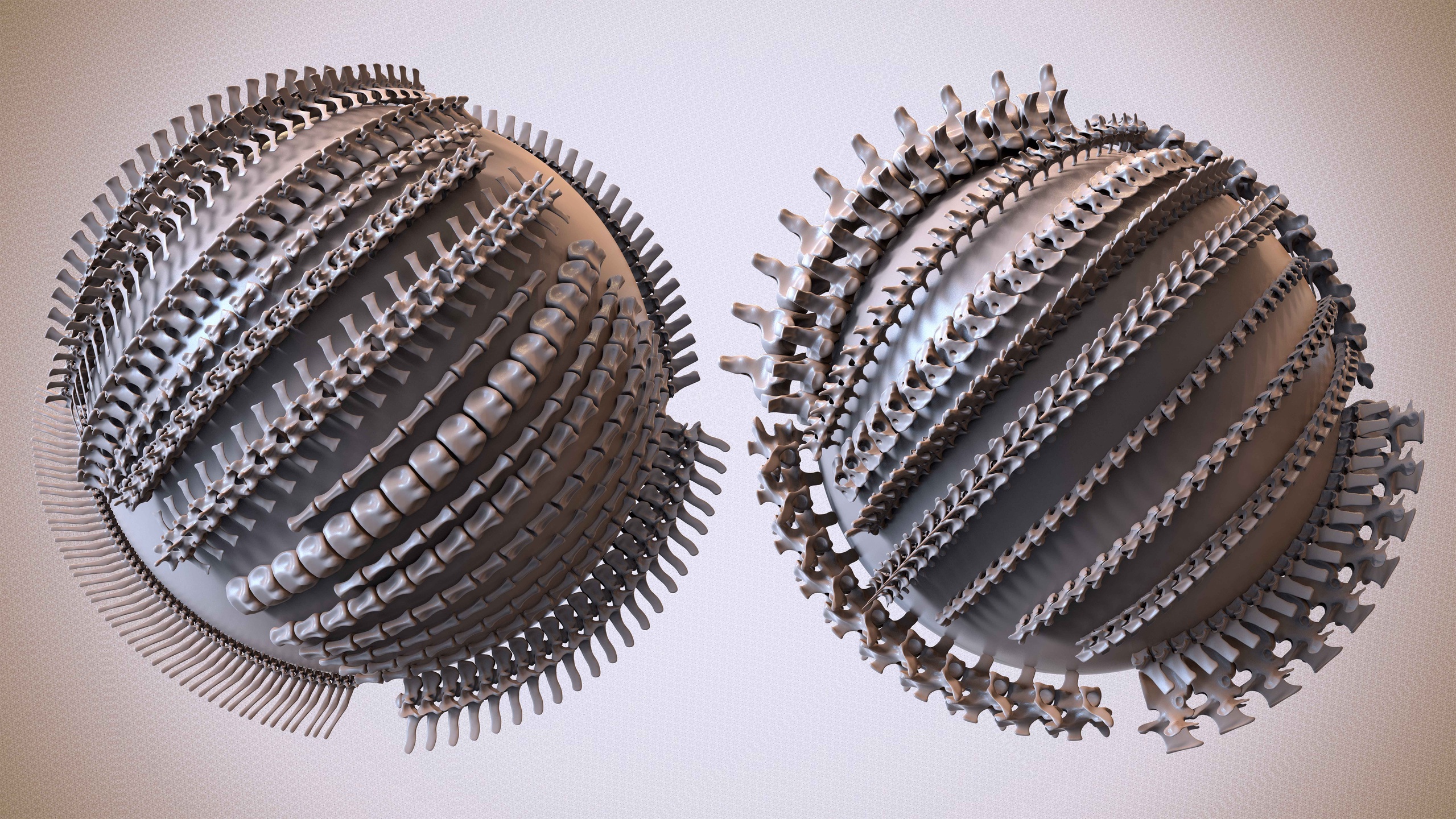 Média 1 pour l'article 30 IMM Back-Bone / Spine ZBrush Brush Volume 01