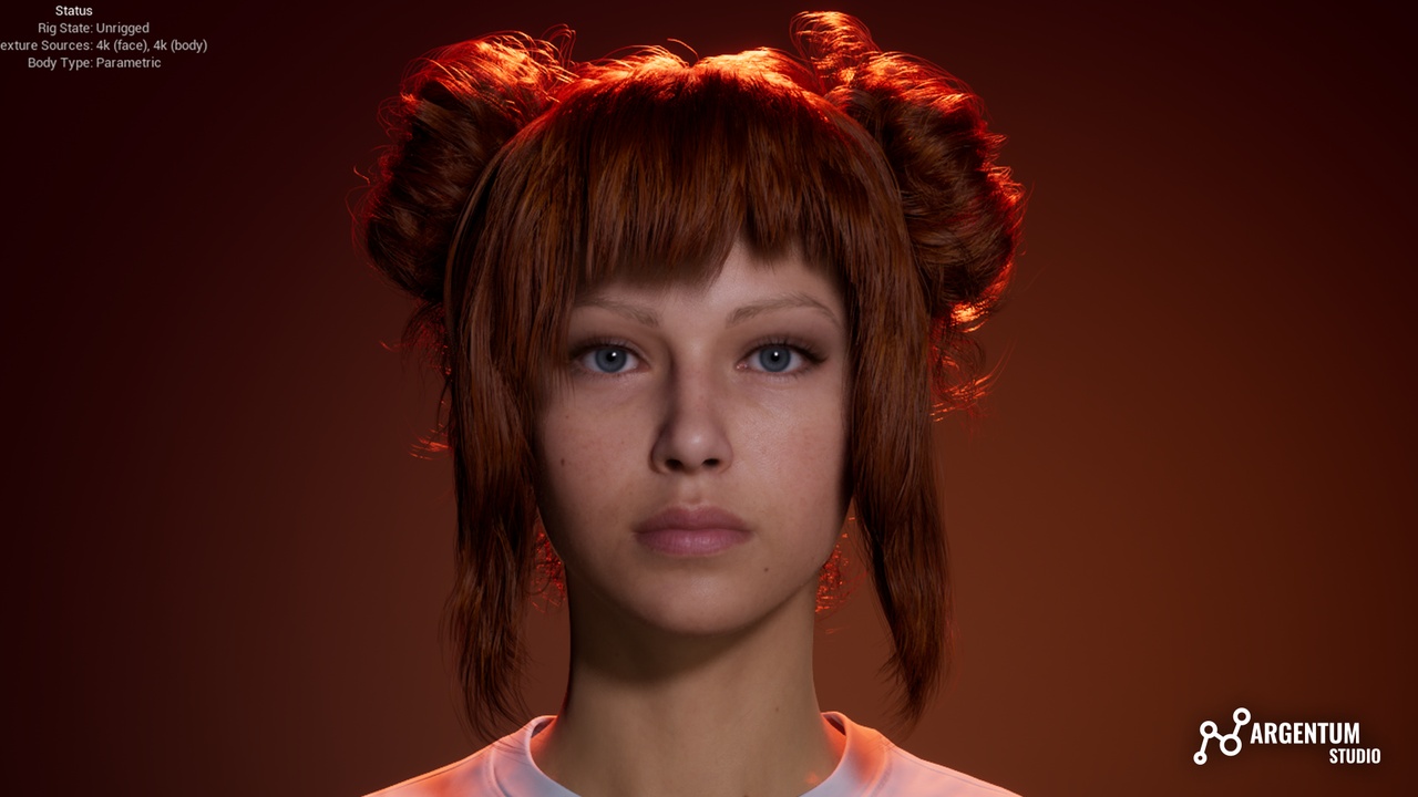 Media 1 for listing Double Messy Buns Hair - Argentum - W005