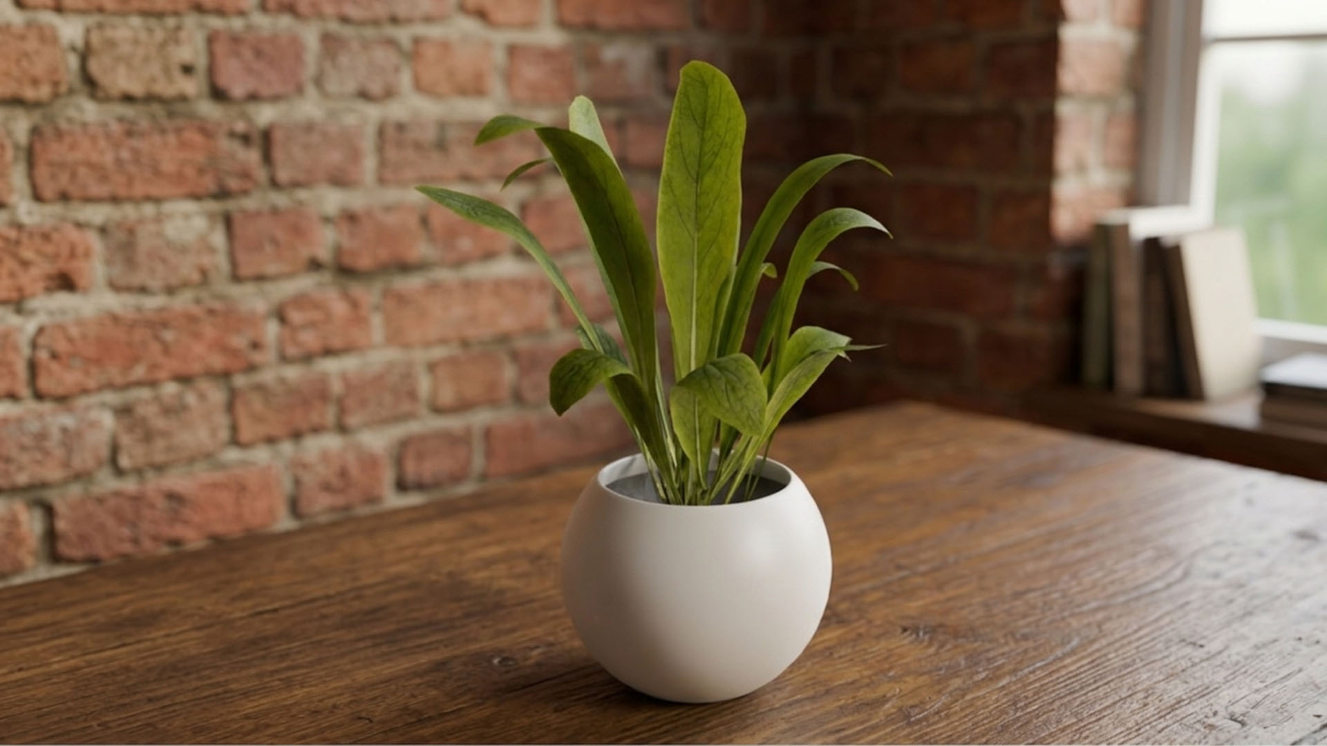 Plant pot | Fab