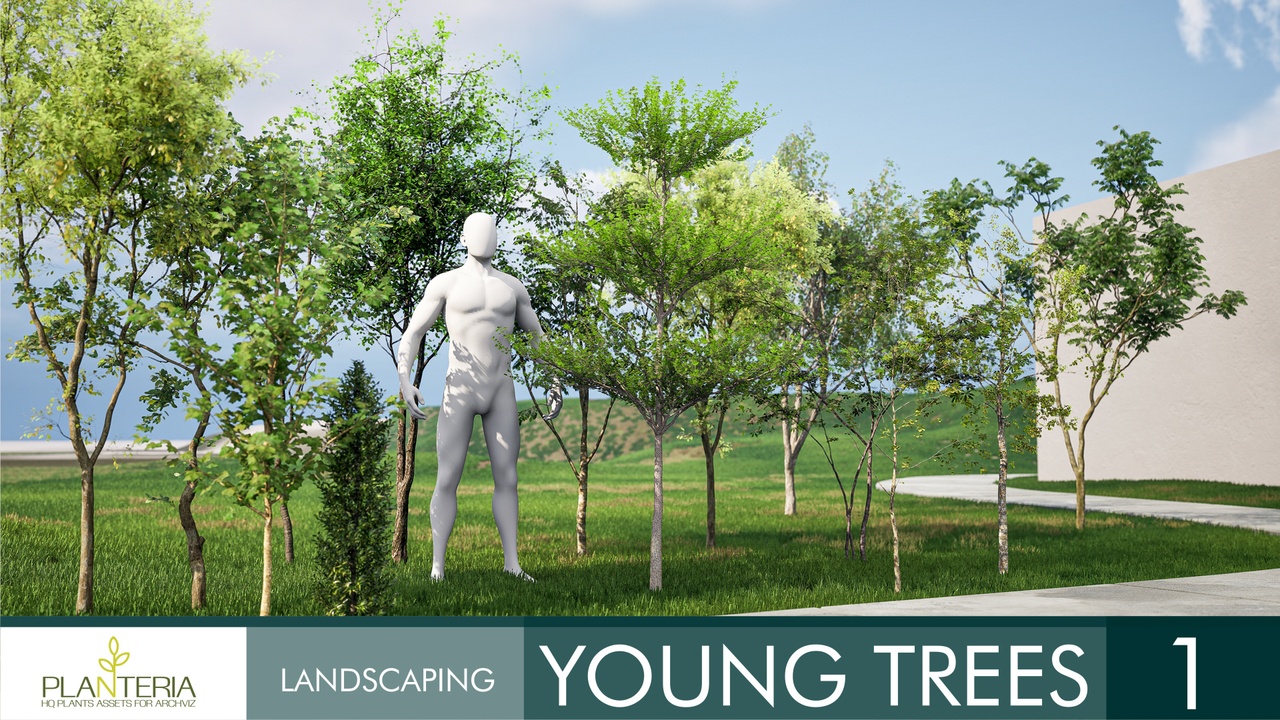 File multimediali per l'articolo Young Trees Vol. 1: 1
