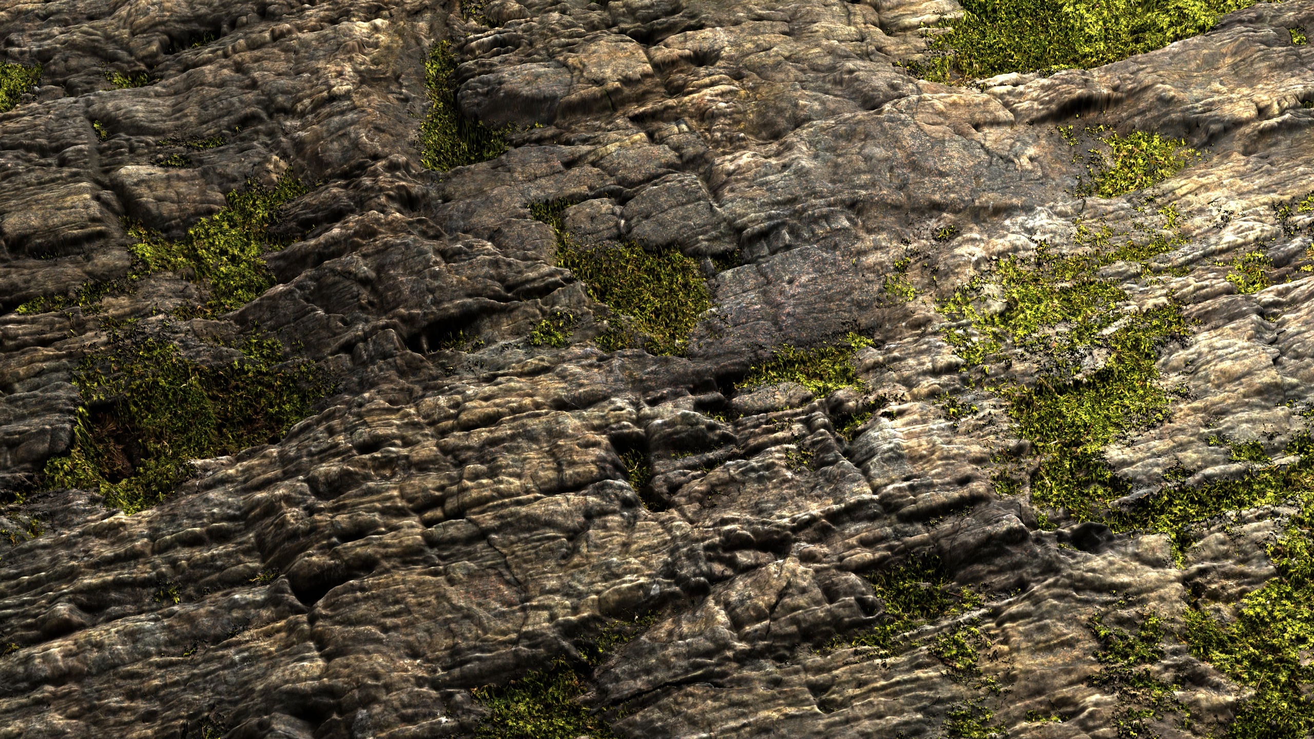 Media 1 for listing Mossy Rock 8K PBR Texture Combo