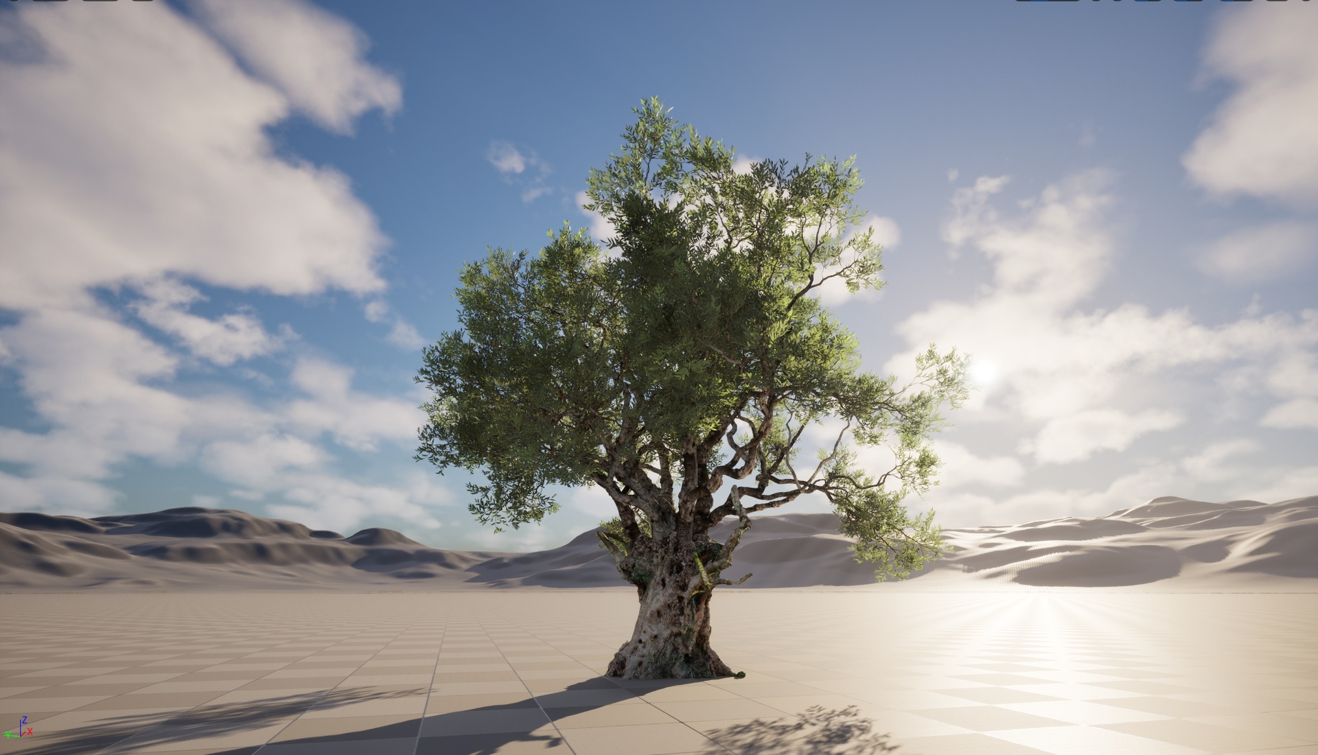 Media 1 for listing Nanite Wind Plants - Scanned Olea europaea - Common olive 06