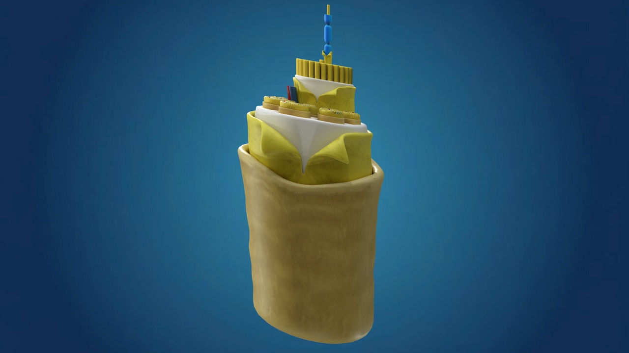 Media 1 for listing 3D Anatomical Cross-Section of a Peripheral Nerve Fiber Model