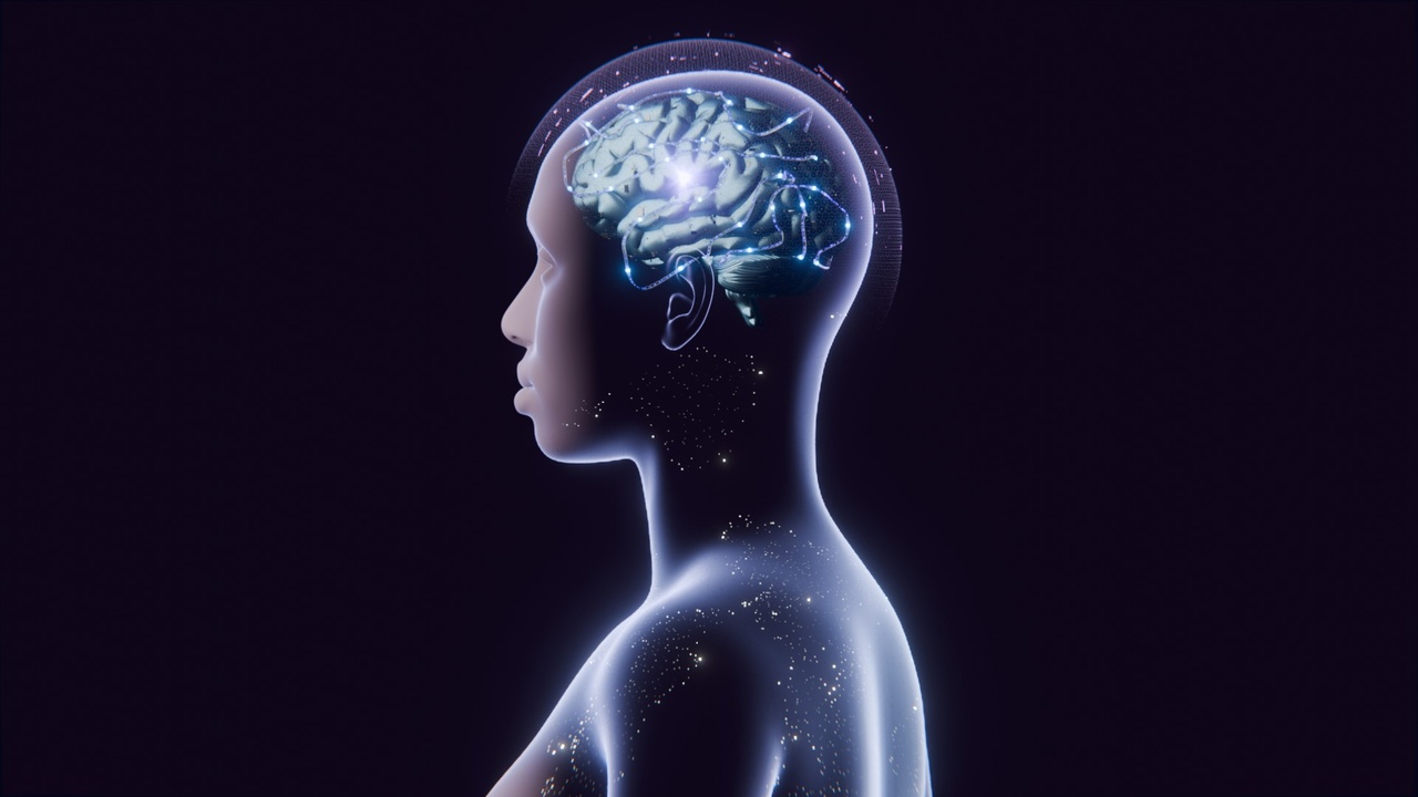 出品Digital Brain Processing Animationのメディア1