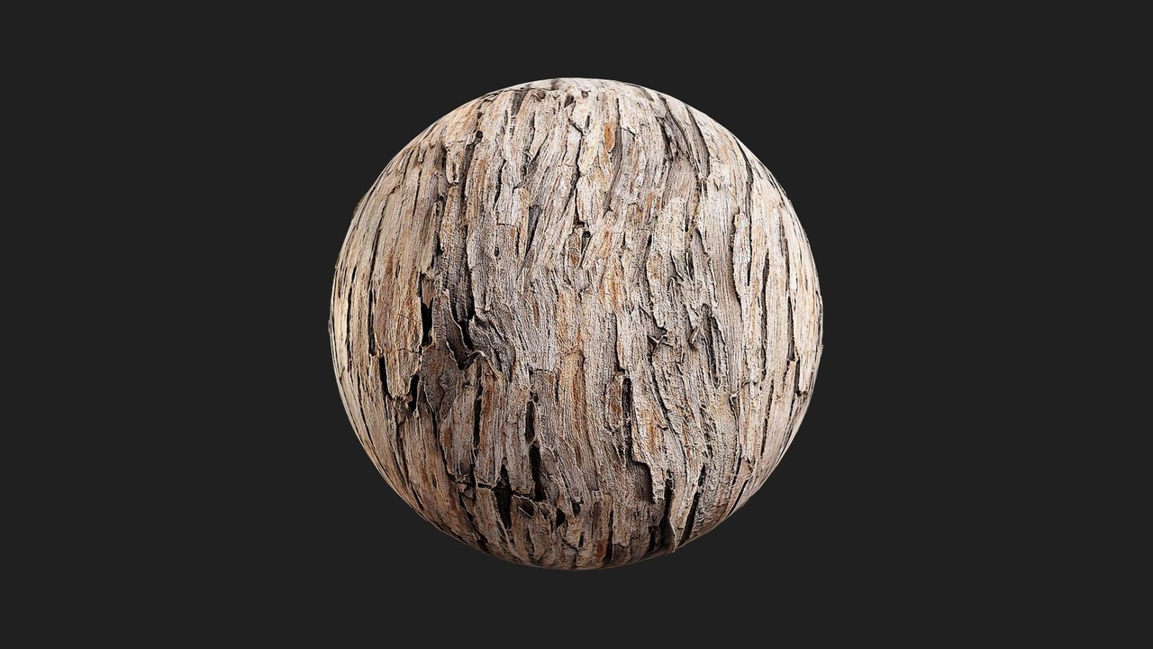 Media 1 for listing Desert American Tree Bark Wood Rough 02