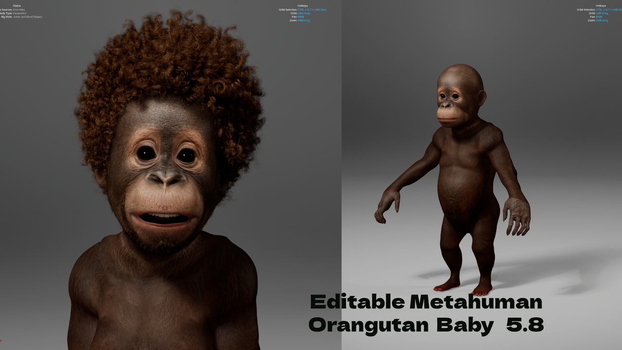Media 1 for listing Metahuman Orangutan Baby Character